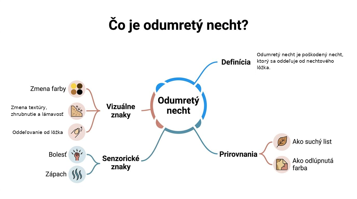 Myšlienková mapa vysvetľujúca príznaky, definíciu a prirovnania pre odumretý necht na nohe alebo ruke.